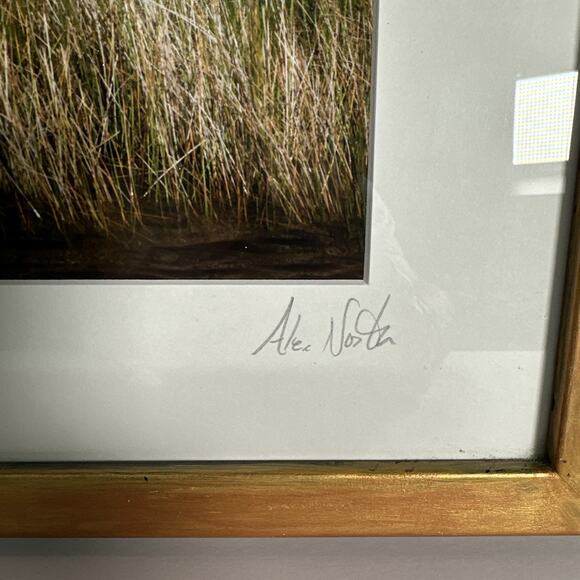 Alex North Print Of Mississippi Gulf Coast Barrier Island Lone Tree Signed - Picture 2 of 3